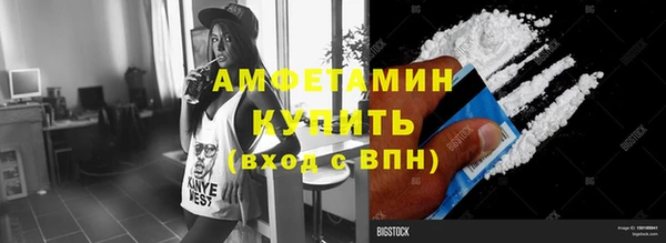 молекула духа Козельск