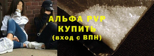молекула духа Козельск