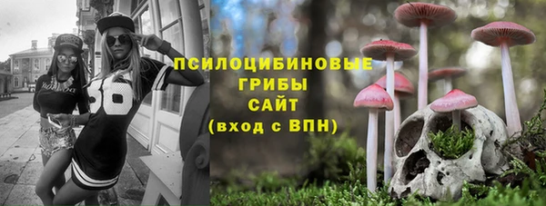 mdpv Козловка