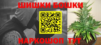 крисы Кунгур