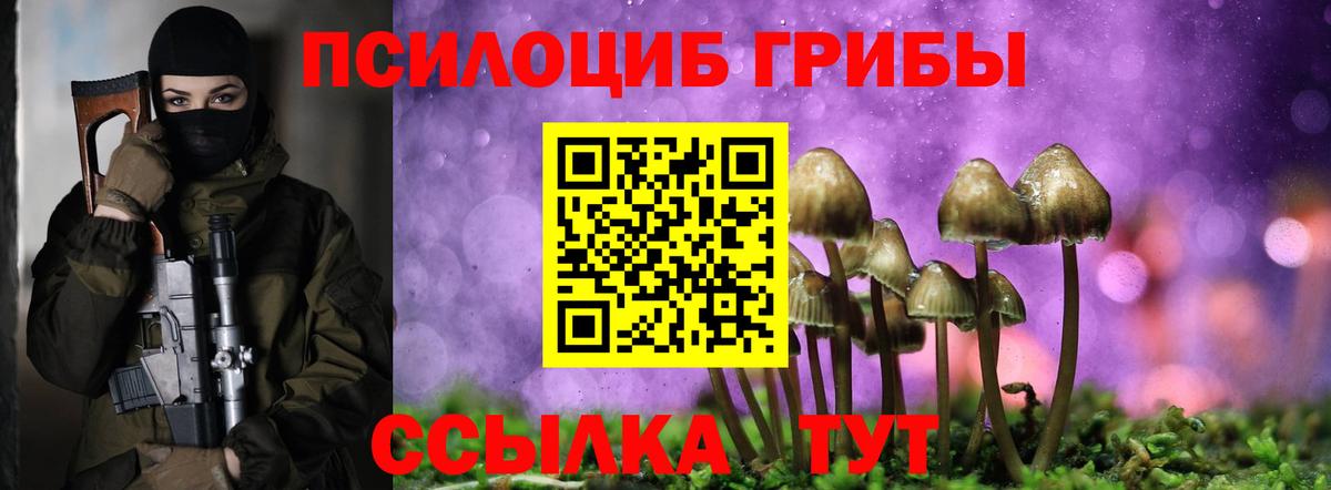 Хасавюрт  Псилоцибиновые грибы MAGIC MUSHROOMS  Галлюциногенные грибы ЛСД  Вход с VPN 