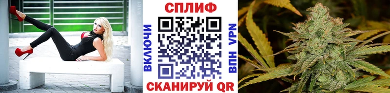 Бошки Шишки VHQ  Хасавюрт 