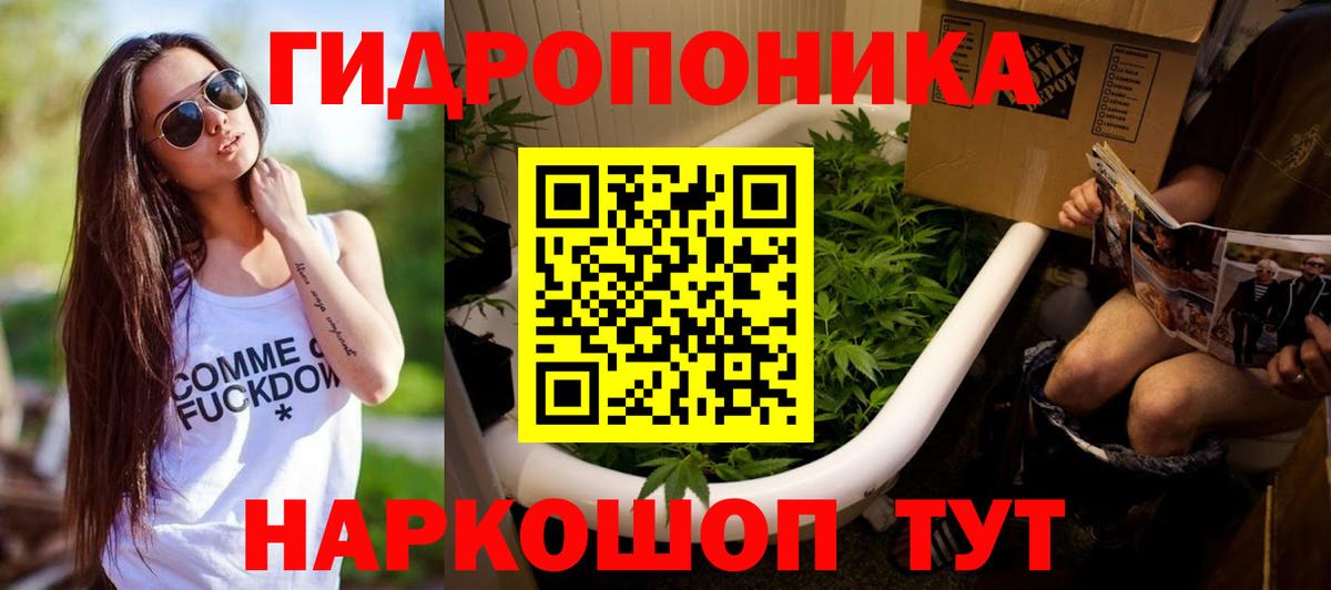 Хасавюрт  Канабис план  Вход с VPN  Каннабис тримм  Конопля ГИДРОПОН 